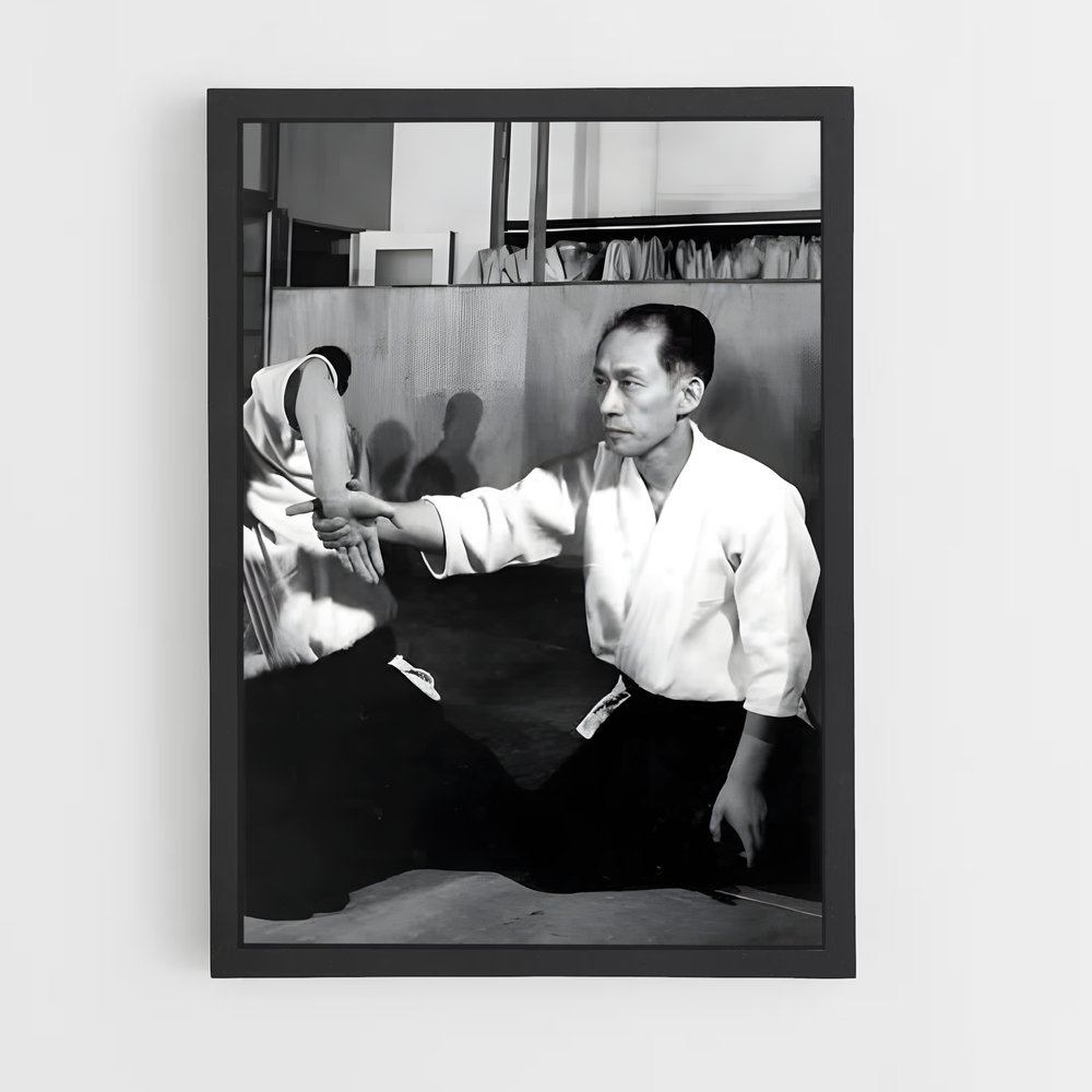 Poster Arts Martiaux: L'Alliance – affiche Aikido (vue 2)